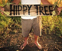 0000s_0027_archive_link_tiburon_place_called_hippytree.jpg